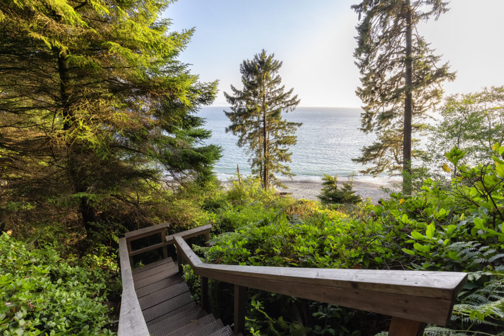 Scenic boardwalk winding through lush coastal forest leading to a private beach view, featuring natural west coast landscape