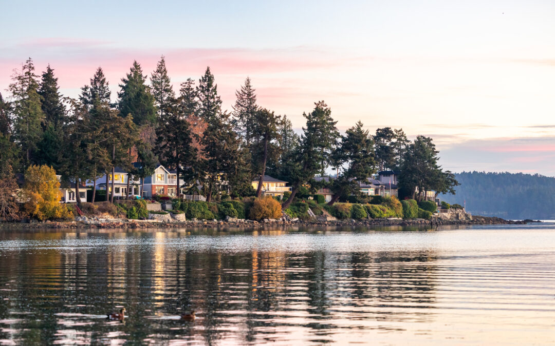 Understanding BC Property Assessment Notices for 2025: What Vancouver Island Property Owners Need to Know