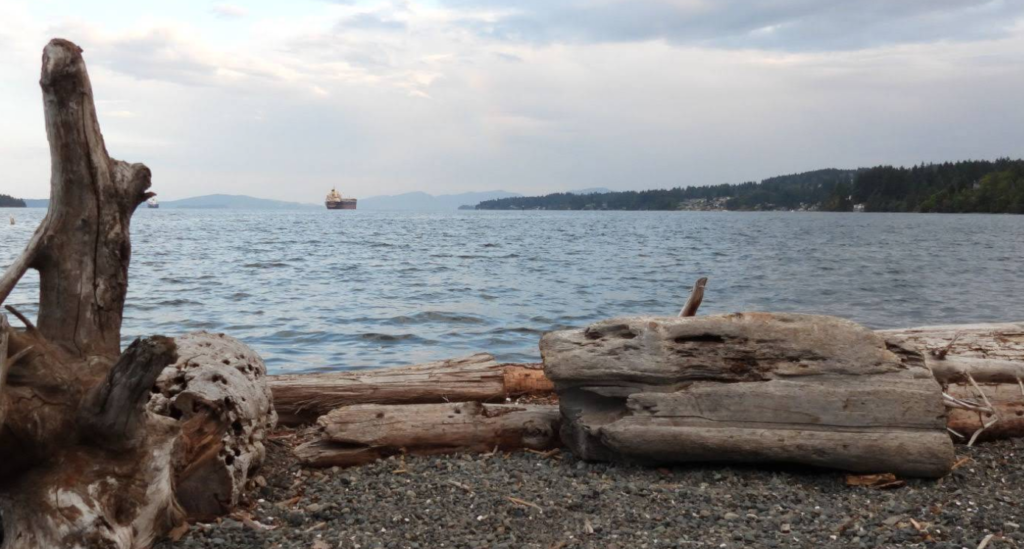 View of Ladysmith harbour from Transfer Beach showing driftwood in the foreground, a cargo ship in the distance, and Vancouver Island mountains along the coastline