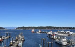 The image shows Nanaimo's waterfront harbor area on a bright, sunny day. The photograph captures a picturesque view of the marina filled with various boats and sailboats docked in the blue waters. In the background, you can see Nanaimo's shoreline with a hint of the downtown area and the natural landscape beyond.