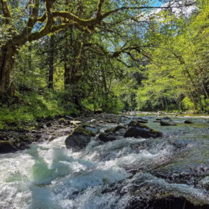 A beautiful river near nanaimo