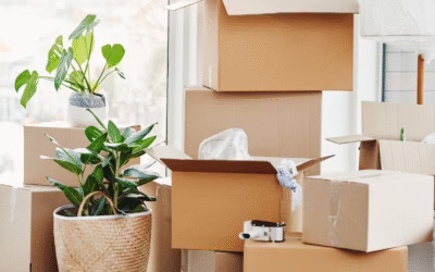 Stress-Free Moving to Vancouver Island: A Realtor’s Insider Tips
