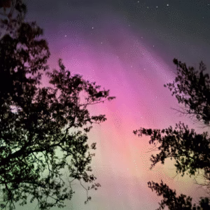 Aurora over the sky ladysmith bc