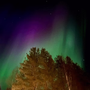 Aurora over the sky nanaimo